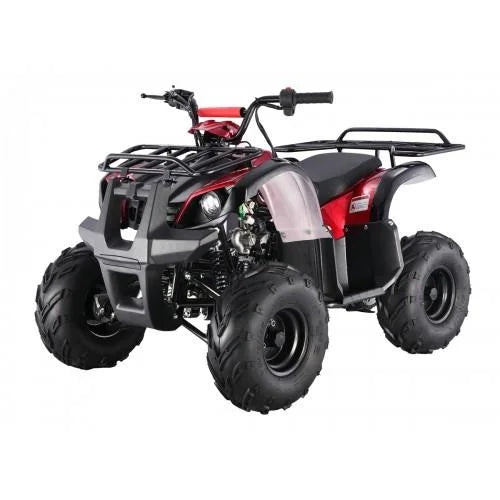 Tao Motor D125 Kids ATVs Nibeza Style