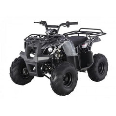 Tao Motor D125 Kids ATVs Nibeza Style