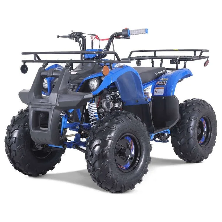 TaoTao T-Force T125 4-Wheeler All-Terrain Vehicle ATV Nibeza Style