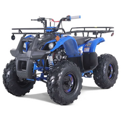 TaoTao T-Force T125 4-Wheeler All-Terrain Vehicle ATV Nibeza Style