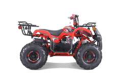 TaoTao T-Force T125 4-Wheeler All-Terrain Vehicle ATV Nibeza Style