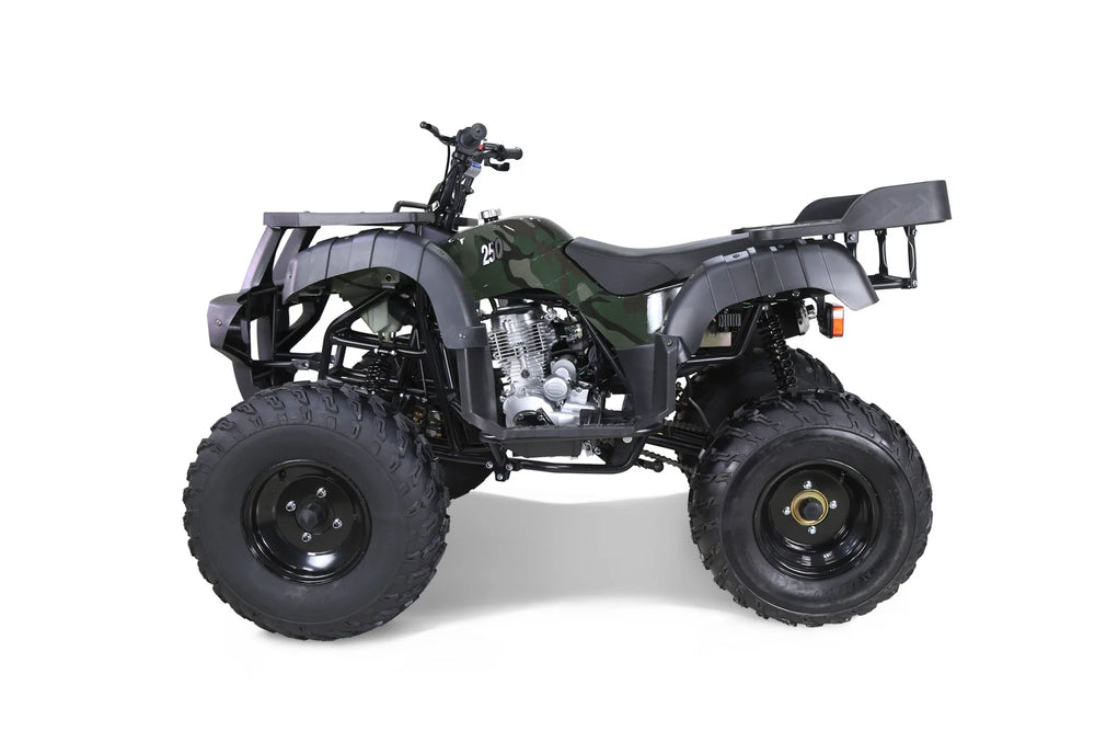 Taotao 250 Rhino Adult Utility ATV Nibeza Style