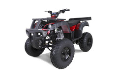Taotao 250 Rhino Adult Utility ATV Nibeza Style