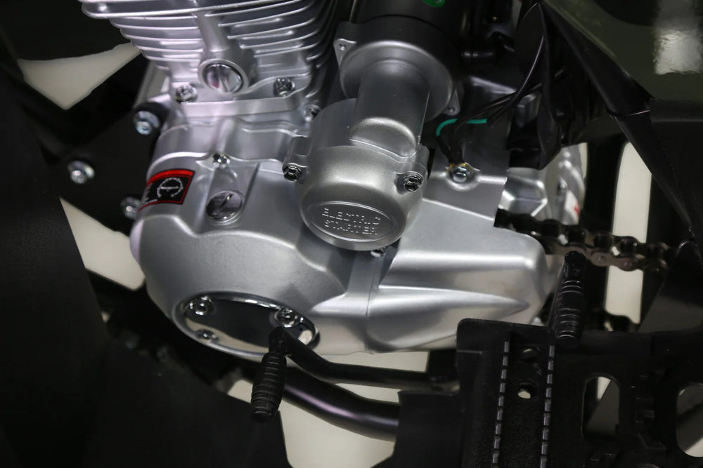 Taotao 250 Rhino Adult Utility ATV Nibeza Style