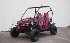 TrailMaster Cheetah 8 Go-Kart Nibeza Style