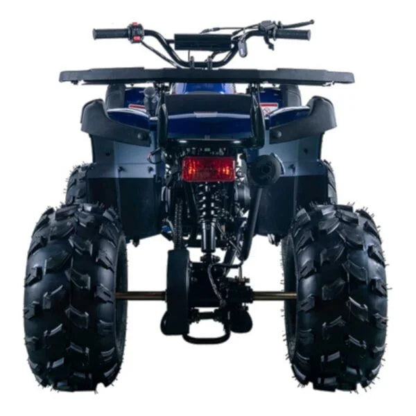 Vitacci Rider 10 Utility ATV Nibeza Style
