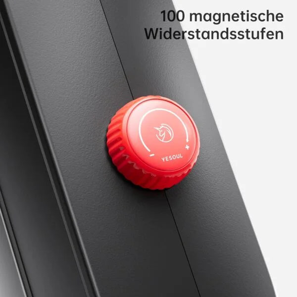 Yesoul Rower R1 Plus 21.5″ HD Screen Nibeza Style