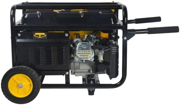 Stanley SG3100 2600W Generator Nibeza Style