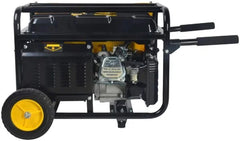 Stanley SG3100 2600W Generator Nibeza Style
