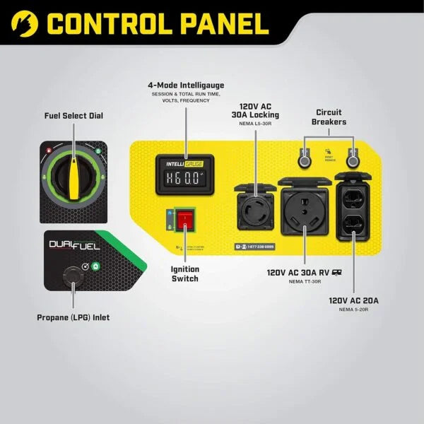 Champion Power Equipment 4750 Watt Portable Generator with Electric Start and Dual Fuel, RV Ready Nibeza Style